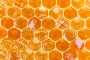 Fresh honey in Honeycomb - 704587416