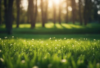  Beautiful blurred background image of spring nature with a neatly trimmed lawn surrounded by trees © ArtisticLens