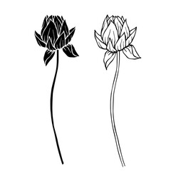 Sketch, silhouette of a lotus flower. Vector graphics.