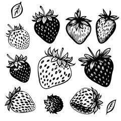 Sketch Hand drawn strawberry. Vector dessert vintage background