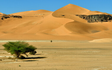 SAHARA DESERT WITH SAND DUNES AND ROCKS AROUND TADRART ROUGE AND DJANET OASIS IN SOUTHERN ALGERIA