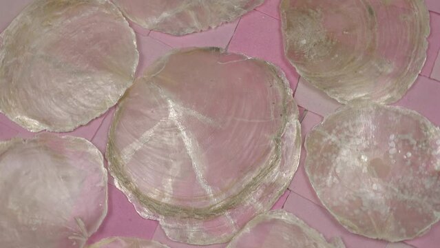 Natural raw transparent sea shells placuna placenta lie on a pink patchwork fabric, background