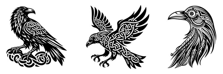 Set of black celtic raven bird in different poses, scandinavian myths, tattoo, vector illustration.