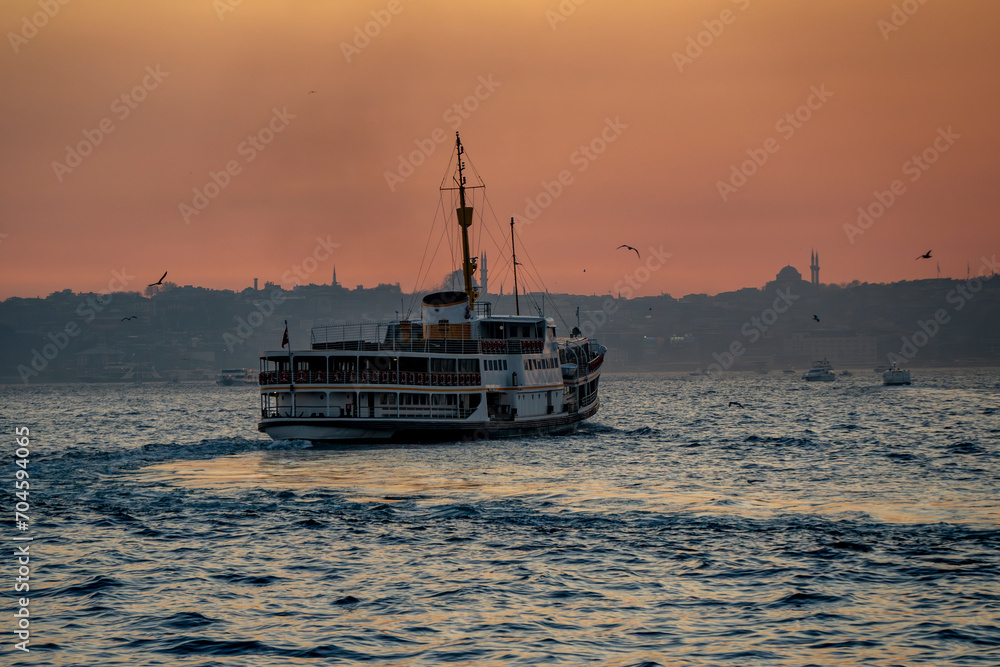 Wall mural istanbul skyline view in turkey