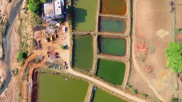 Aerial drone view of fish farming pond HD commercial pisciculture shrimp farming industry