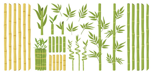 Cartoon bamboo. Asian forest plant with branches and leaves, green bamboo sprouts, Chinese or Japanese flora flat vector illustration set. Bamboo plant collection - obrazy, fototapety, plakaty