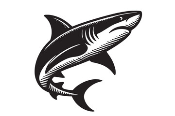 Shark. vector black flat illustration. Icon, logo. Sketch in ink