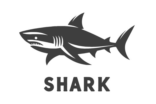 Shark. vector black flat illustration. Icon, logo. Sketch in ink