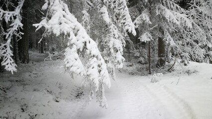 Winterlandschaft