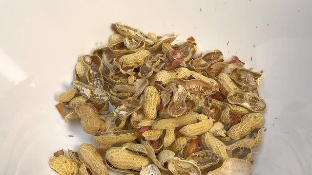 dried peanut shell
