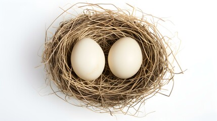 Top View of ivory Eggs in a Nest on a white Background. Easter Template with Copy Space