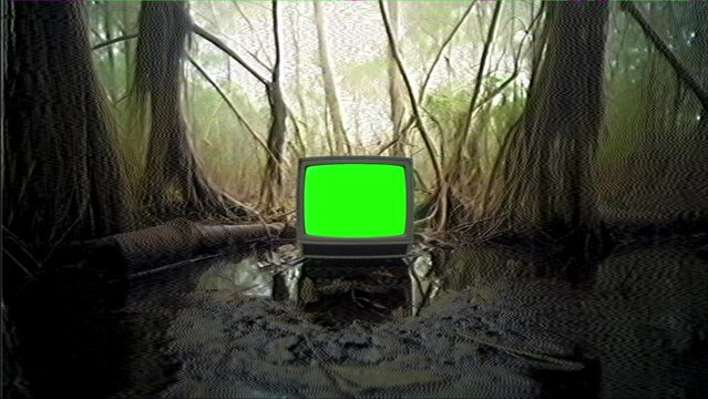 Retro TV with bright green screen placed in a swampy forest setting, with dense trees and mist adding a mysterious atmosphere.