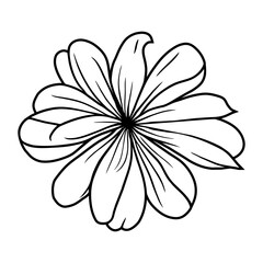 Hand drawn simple flower illustration