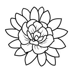 Hand drawn simple flower illustration