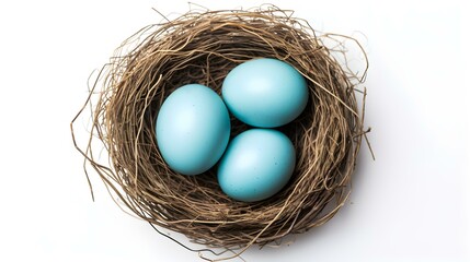 Naklejka na ściany i meble Top View of light blue Eggs in a Nest on a white Background. Easter Template with Copy Space