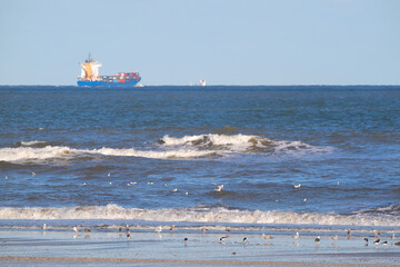 Container ship at the sea