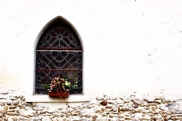 window with flowers