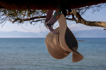 Straw hat hanging on a tree
