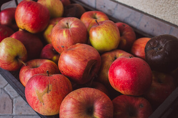 Red fresh and rotten apples background. Red ripe apple fruits in the market. Winter harvest. Sweet...