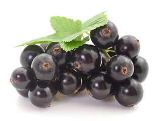 Black currants isolated.