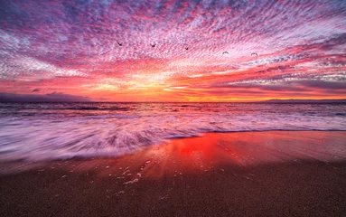 Crédence de cuisine en verre imprimé Coucher de soleil sur la plage Sunset Beach Sea Beautiful Colorful Ocean Sunrise Sunrise Red Seascape Sky