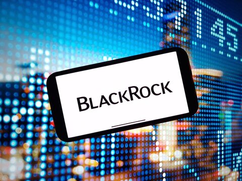 Konskie, Poland - January 07, 2024: BlackRock company logo displayed on mobile phone