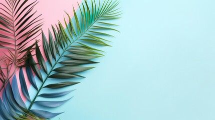 Fototapeta premium Green leaves of palm tree on bright pink and blue pastel background, tropical green palm leaves.