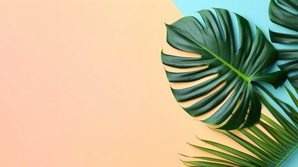 Green natural monstera leaf background with design space
