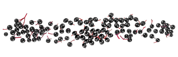 Healing berries of black Sambucus isolated on a white background, top view. European black...