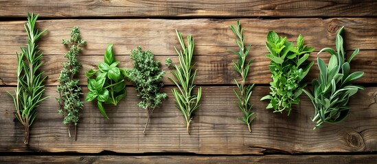 fresh herbs on wooden background with space for text