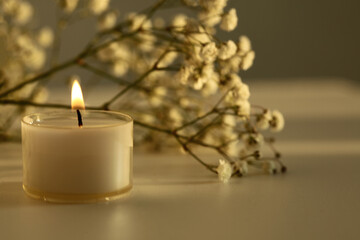 Burning candle and flower twig. Soft focus. Evening Light and shadow background. Minimalist still...