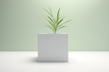 A small plant in a white pot on a white table with a green background