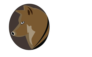 wolf  tracing background