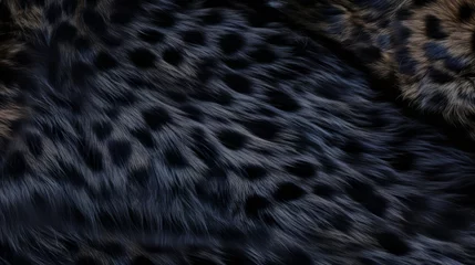 Schilderijen op glas Black panther or puma luxurious fur texture. Abstract animal skin design. Black fur with black spots. Black leopard. Fashion. Design element, print, backdrop, textile, cover, background © Jafree