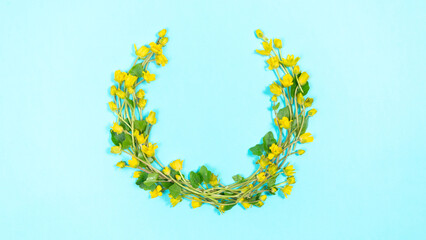 Circle of spring yellow flowers of buttercups with green leaves on a light blue background. Springtime coming concept. Copy space. Flat lay.