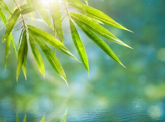 Fototapeta na wymiar Border of green bamboo leaves over sunny water surface background banner, beautiful spa nature scene with asian spirit and copy space