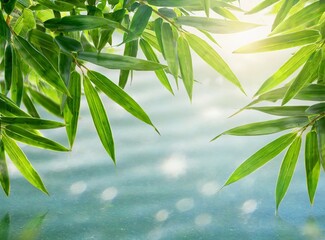 Border of green bamboo leaves over sunny water surface background banner, beautiful spa nature scene with asian spirit and copy space
