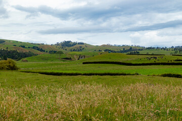 Fototapeta premium New Zealand, its landscapes, mountains, roads, stormy skies, fields and seas 30