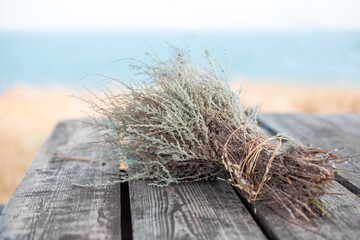 a bunch of wormwood grass on a wooden table on the seashore. Collection of medicinal aromatic herbs
