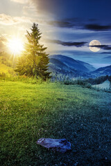fir tree on the meadow with green grass and stone on the edge of mountain slope with sun and moon...