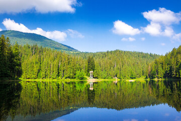 scenery of a synevyr lake in morning light. beautiful summer landscape of carpathian mountains. green environment of national park with coniferous forest beneath a blue sky reflecting in the water