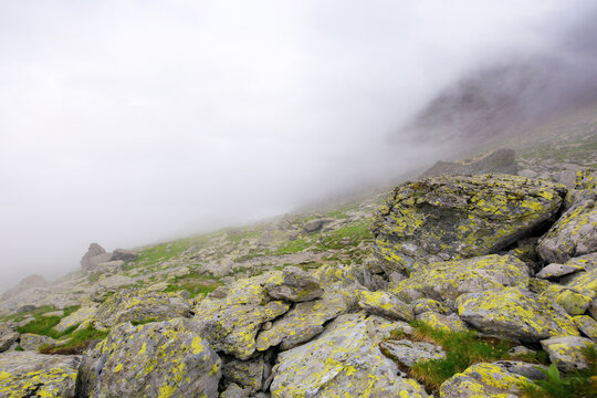 mysterious beauty of fagaras. nature scenery on a hazy weather in summer. mountain landscape with rocky hills