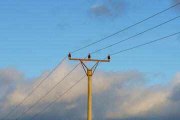 power lines on the sky background
