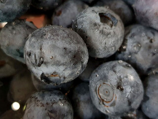 Heidelbeeren - Blaubeeren