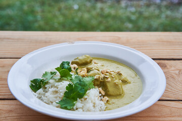Sweet and spicy delicious green mutton curry or korma typical dish from Indian cuisine served in deep vintage white plate with boiled basmati rice and crushed cashew nuts and fresh coriander leaves.