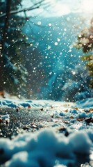  a snow covered road next to a forest with lots of snow flakes on the ground and trees in the background.
