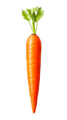 Carrot single without leafs. Isolated on transparent background. PNG