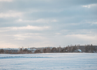 landscape with snow on filed and trees in winter