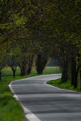 Country side among tree line