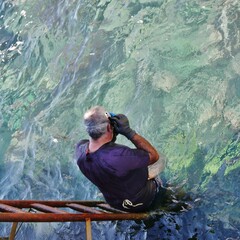 Taucher sucht Muscheln im Atlantik